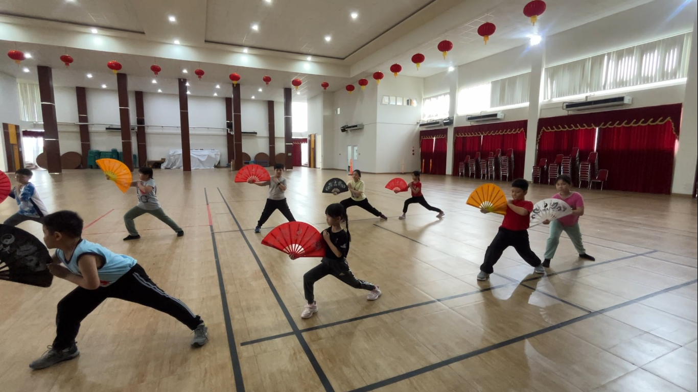 Primary School wushu
